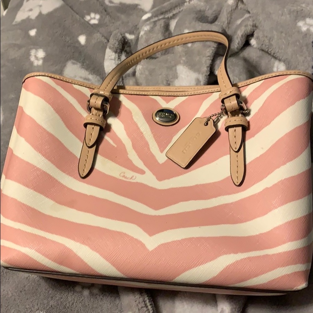 Small coach hand bag